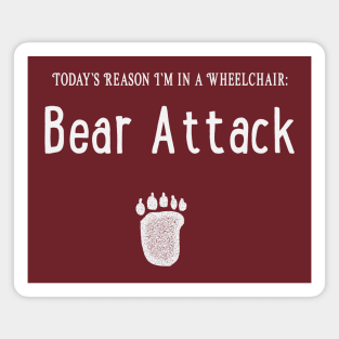 Today's Reason I'm in a Wheelchair: Bear Attack Magnet